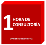 Consultancy: 1 hour - Spanish for Executives