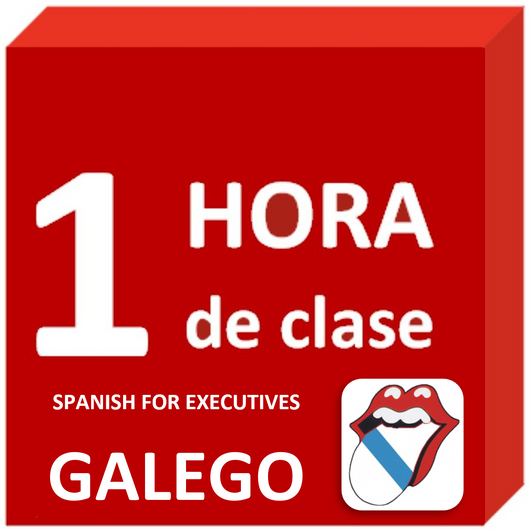 Galego - Language lesson : 1 hour. Spanish for Executives