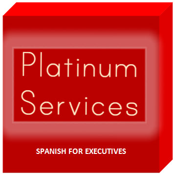 Platinum Services - 1 hour (lesson/consultancy)